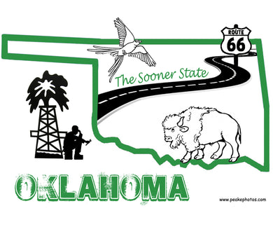 OKLAHOMA SWEDISH DISHCLOTH
