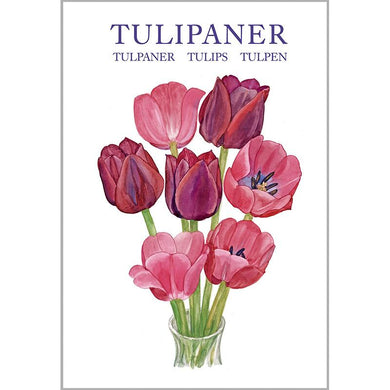 Notecards - Tulips Card Folder w/8 Note Cards
