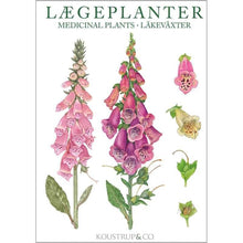 Notecards - Medicinal Plant Card Folder w/8 Note Cards