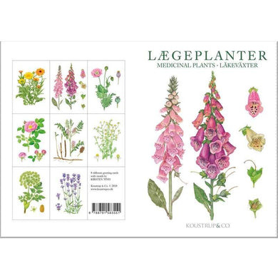 Notecards - Medicinal Plant Card Folder w/8 Note Cards